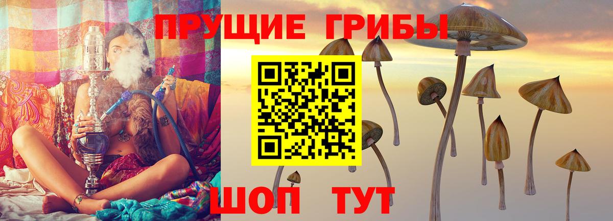 Галлюциногенные грибы GOLDEN TEACHER  Галлюциногенные грибы ЛСД  Стрежевой  Вход с VPN 